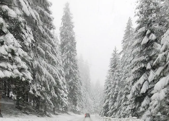 Sestosed-snezna Dolina *